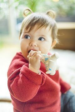 Juguetes / LANCO / Mordedor Jirafa Alana