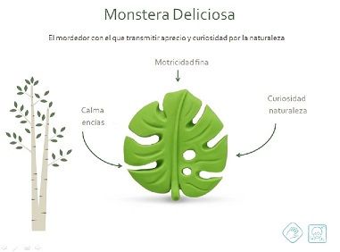 Juguetes / LANCO / Mordedor Monstera Deliciosa
