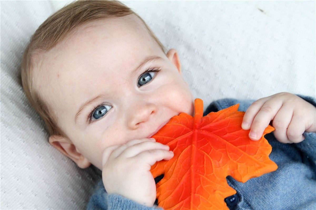Juguetes / LANCO / Mordedor Autumn